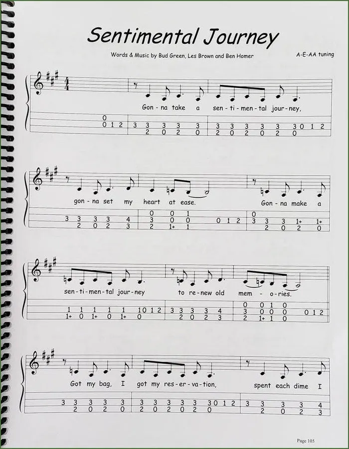 Debbie Porter - A Treasury Of Tunes For Fretted Dulcimer