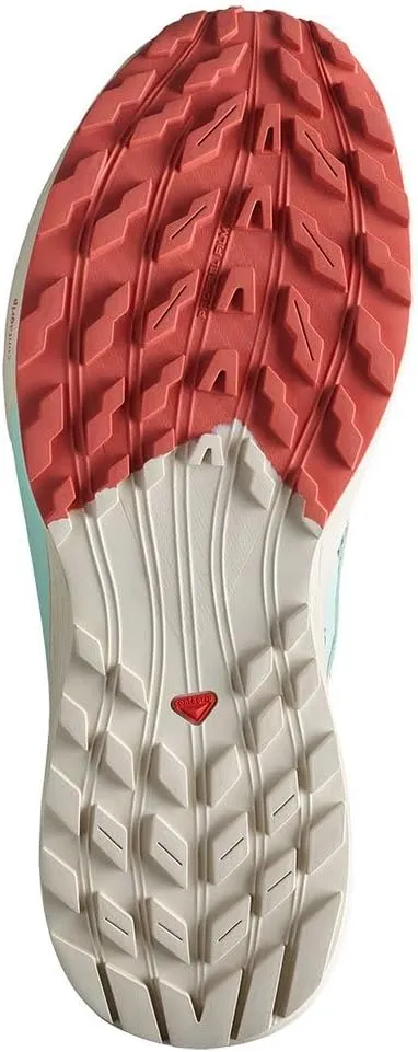 Salomon Men's Sense Ride 5 Trail Running Shoes